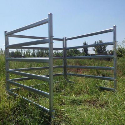 Light Grey Galvanized Farm Cattle Panel Fence Resists Corrosion Cattle Livestock Panels