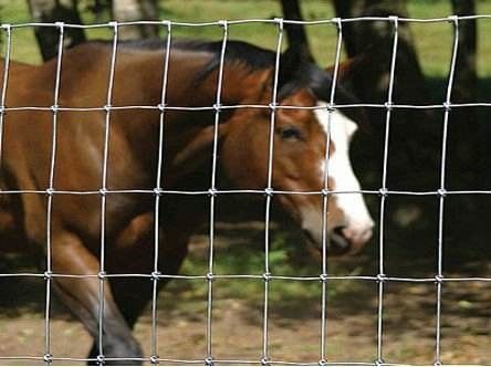 1.8mm / 2.0mm Hinge Joint Field Fence Long Lasting And Easy To Install