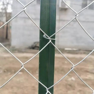 Livestock Y Post / Metal Fence Posts For Fence Accessories