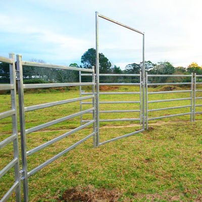 Eco Friendly Galvanized Horse Panels For Livestock 6 Foot Tall Horse Panels