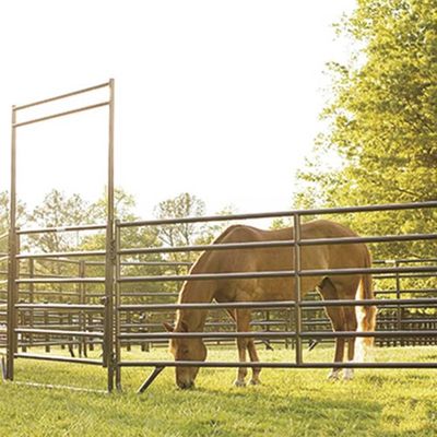 Eco Friendly Galvanized Horse Panels For Livestock 6 Foot Tall Horse Panels