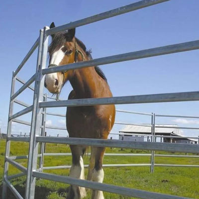 Galvanized Metal Corral Fencing For Cattle Horses Easily Assembled Round Pen Fencing