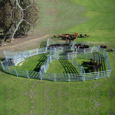 Galvanized Metal Corral Fencing For Cattle Horses Easily Assembled Round Pen Fencing
