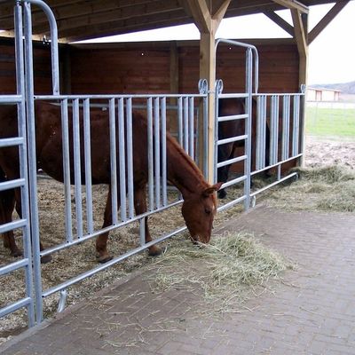 1.8m Livestock Farm Yard Fence Panels Galvanized Steel 6 Rail Horse Corral Fencing