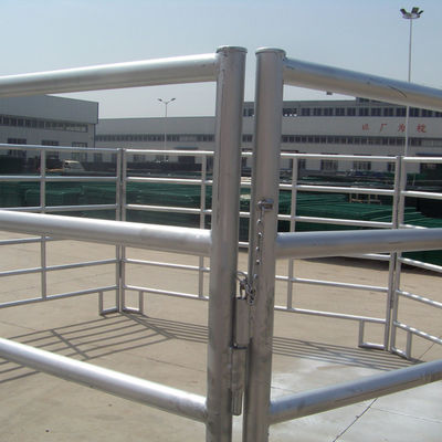 Livestock Cattle Corral Horse Panel Fence Bulk Cheap Round Tube Fence