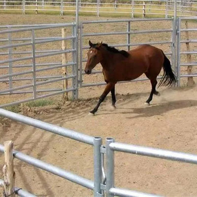 Farm Horse Round Pen Fence Panels 1.8m / Livestock Horse Pipe Corral Panels