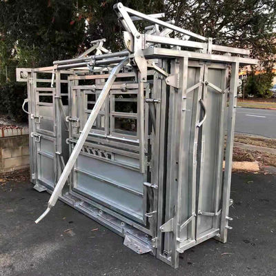 40*40mm*1.6mm Frame Cattle Crush Galvanized Steel Heavy Duty