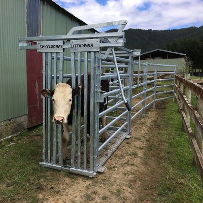 42*115mm*1.6mm Cattle Cow Crush Fence Fully Welded Post Brackets