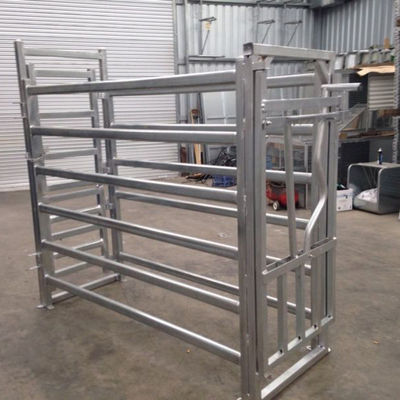 40*80mm*1.6mm Cattle Crushes Panel Cattle Headlock Panels Versatile