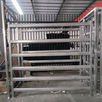50*50*1.6mm Cattle Crush Head Hot Dip Galvanized Steel Tube