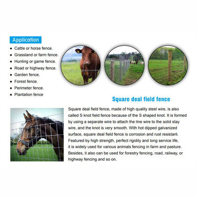 1.8mm Thickness Farming Field Fencing For Goats Hot Dipped Galvanzied