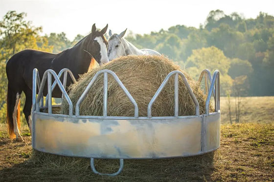 Durable Galvanised Round Metal Cattle Feeder  / Metal Round Bale Feeder