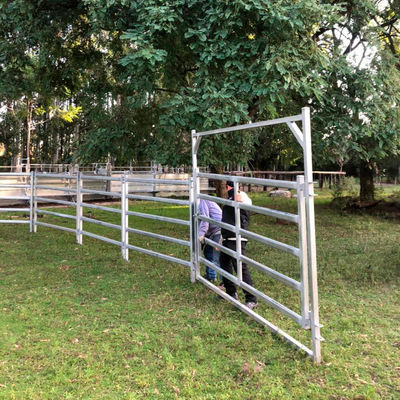 Light Grey Cattle Panel Fence High Flexibility Ranch Equipment For Farm