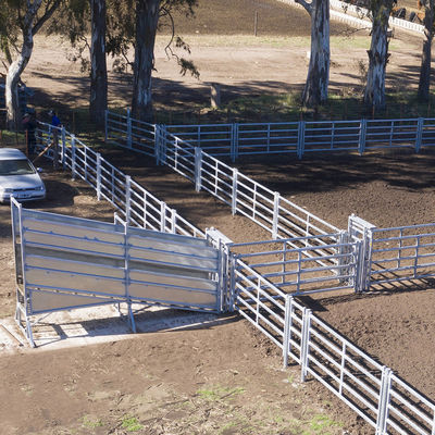 Light Grey Cattle Panel Fence High Flexibility Ranch Equipment For Farm