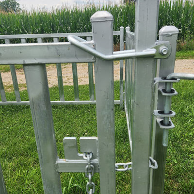 Hot Diped Galvanized Steel Pipe Cattle Yard Panels For Livestock