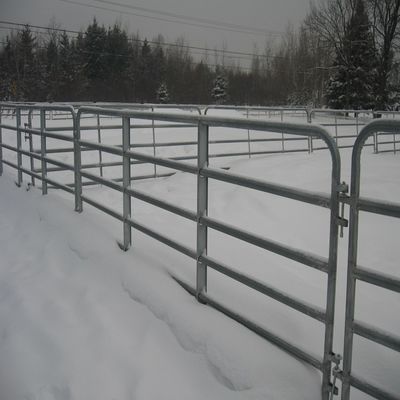 3.0m Length Round Tube Animal Fencing Galvanized Or Color Coated