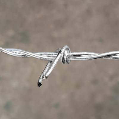 50kg Galvanized Razor Barbed Wire Mesh Stainless Steel Barb Wire Fence Roll