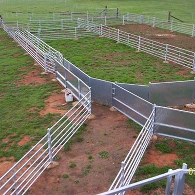Australian Portable Heavy-duty Round Fencing Panels for Sheep Farms