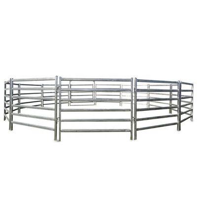 12 ฟุต Powder Coated สายรั้วสัตว์ Hot Dip ท่อเหล็กกระปุก