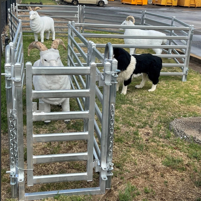 Easily Assembled Eco Friendly Sheep Panel Fence